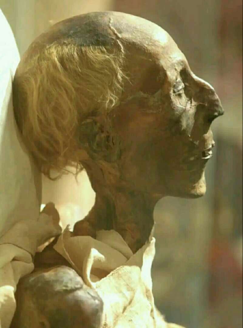 The mummy of Ramesses II was discovered within the Royal Cache (TT320) close to Deir El-Bahari, Theban Necropolis.