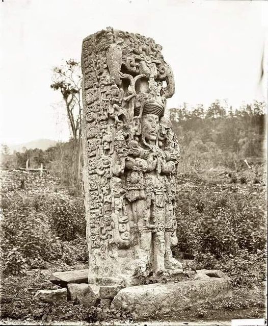 The Discovery Stela B, an ancient monument erected by the Mayan ruler Uaxaclajuun Ub"aah K"awiil in the early 8th century, stands as a remarkable testament to the rich history of Copan, Honduras. 