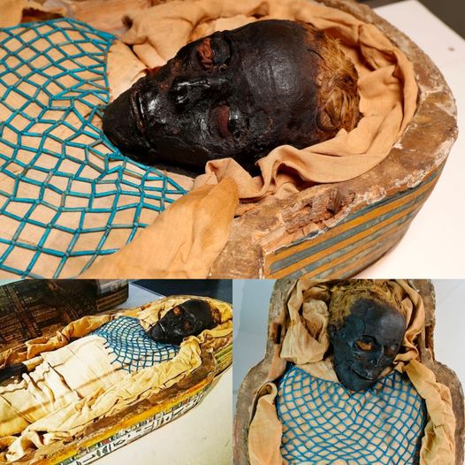 Egyptian Mummy Cold Case Solved: "Takabuti" Uncovered as Victim of Stabbing