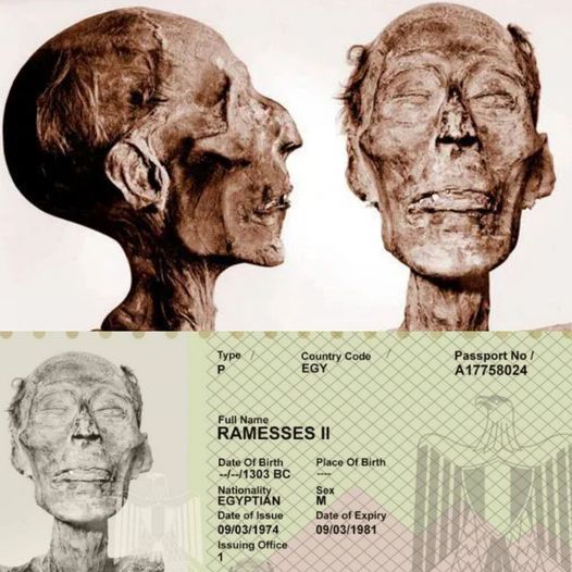 In 1974, Egypt had to issue a passport to the Ramesses II, 3,000 years after his death.