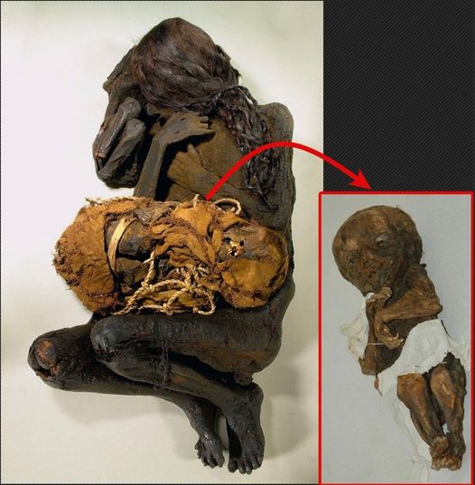 Revealing Ancient Enigmas: Unraveling Secrets from Long-Forgotten Mummies. Including a mummy mother holding her child.