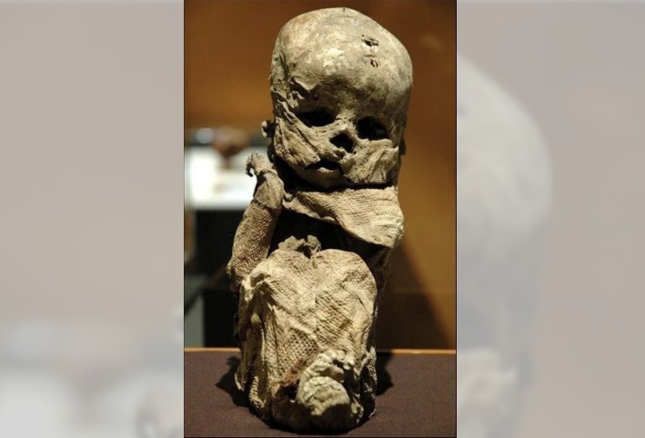 Unveiling the Mysteries of the Chachapoyas Culture: The Enigmatic Baby Mummy