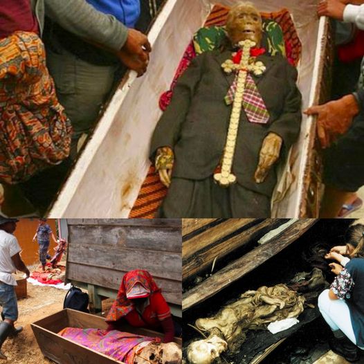 NEWS: Revealing the Past: Female Corpse from the Qing Dynasty Unearthed in Jingzhou Lujiaoshan Tomb
