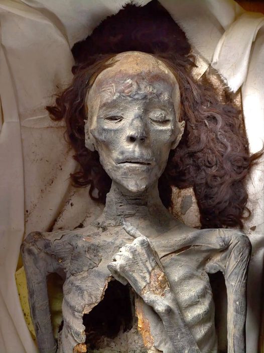 Mummy of Queen Tiye