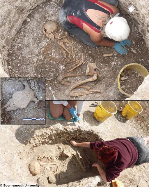 2000-year-old human remains and animal sacrifices found in Dorset
