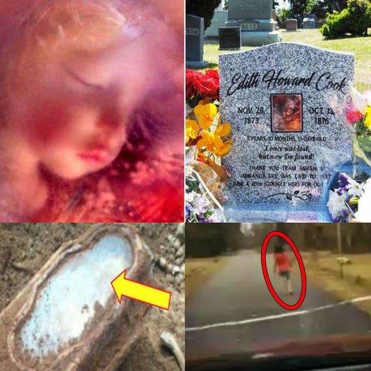 Century-Old Little Girl Found In Coffin under San Francisco Home Identified.