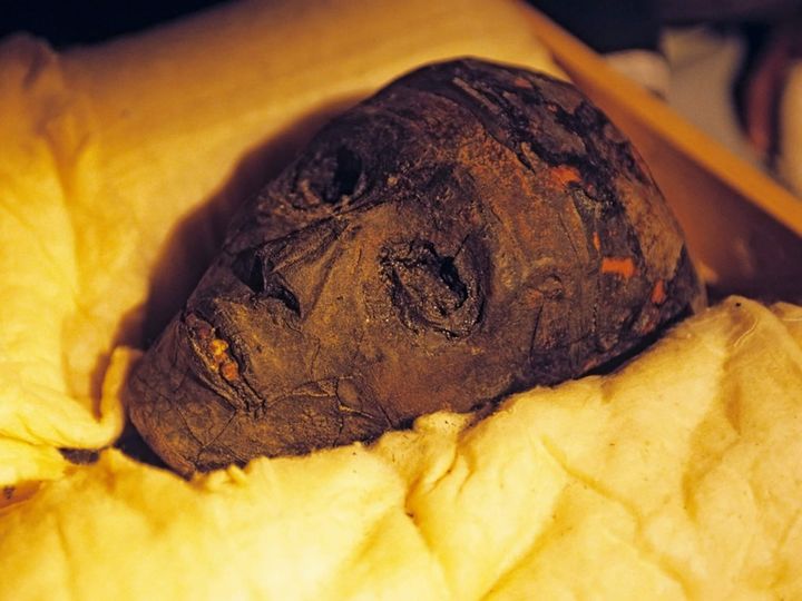 Unveiling the Enigma: King Tutankhamun's Mummy in KV62