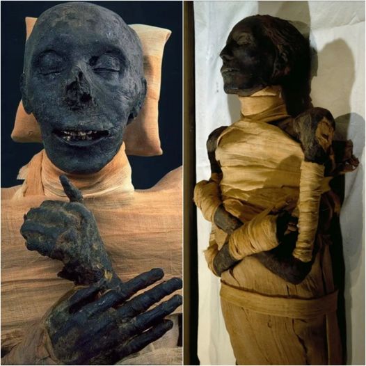 The Mummy of Thutmose III: Reigning in the New Kingdom, 18th Dynasty, 1479-1425 BC.