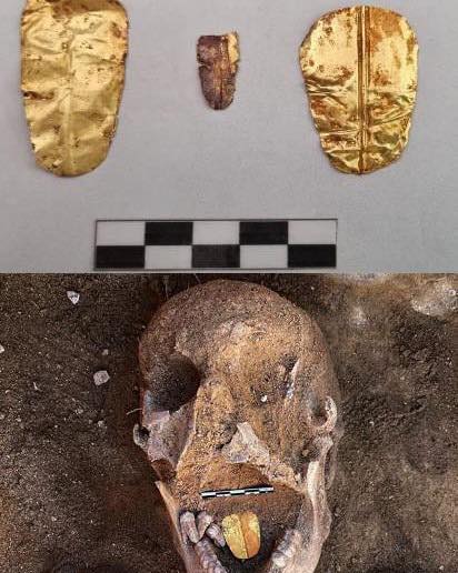 Unraveling the Mystery: The Golden-Tongued Mummy of Taposiris Magna