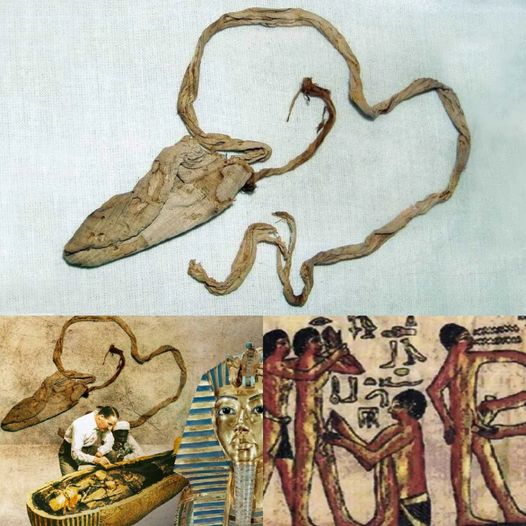 Admire The 3000-Year-Old Condom Of The Egyptian Pharaoh Tutankhamun: Archaeologists Are Amazed