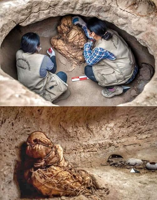 Archaeologists Unearth 800-Year-Old Mummy in Peru