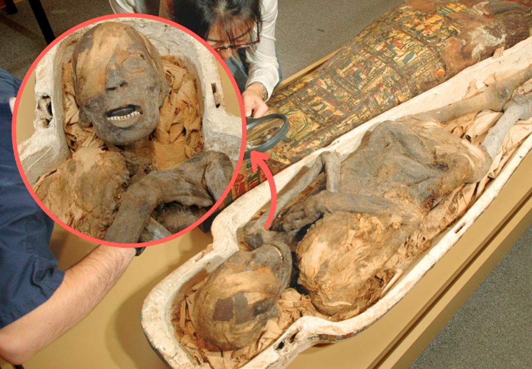 Time-Traveling with the Barnum Mummy: Exploring the Ancient Servant’s 4,000-Year Journey