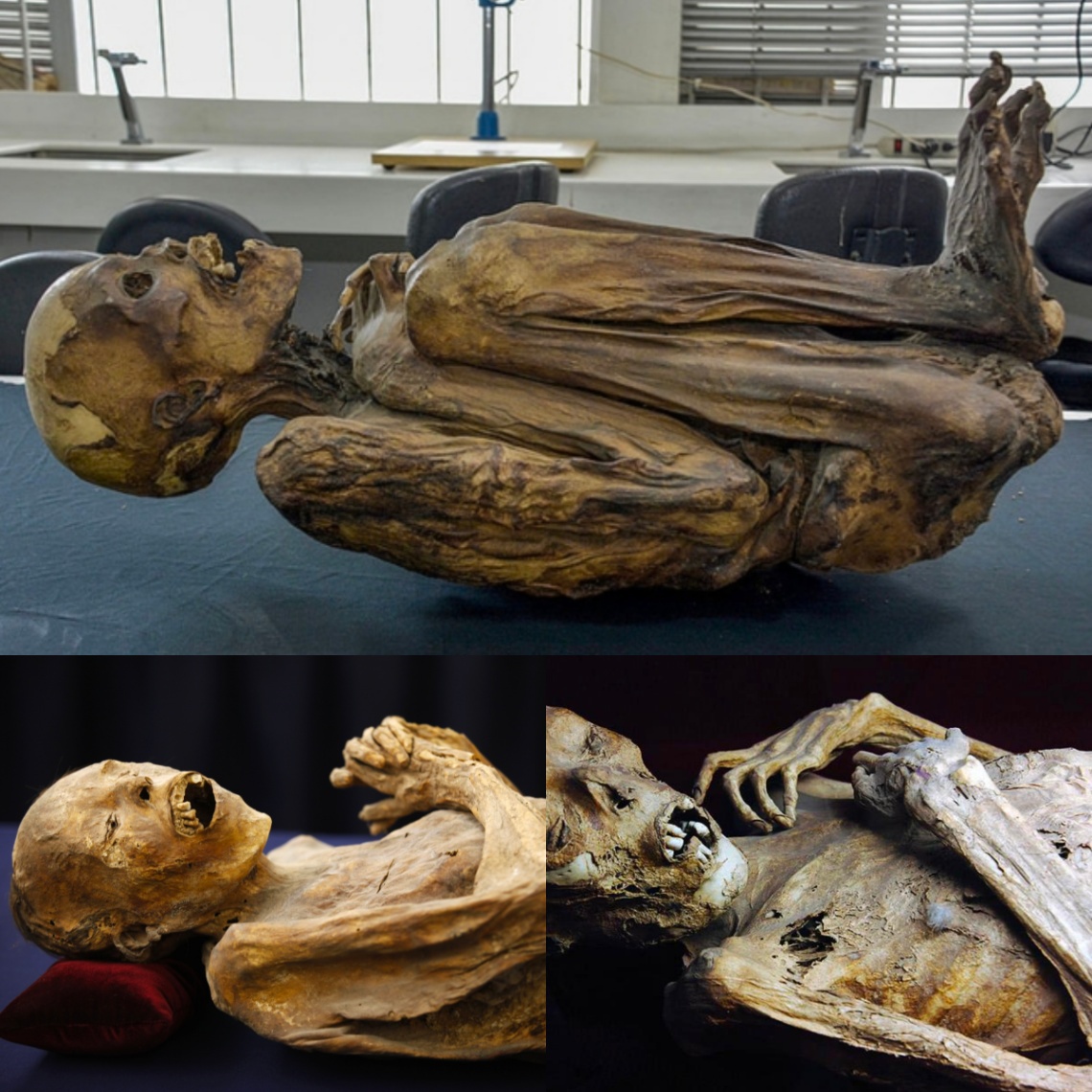 The Enigma of San Bernardo’s ‘Natural Mummies’: Over a Dozen Exceptionally Well-Preserved Bodies Puzzle Experts, Defying Explanation – Latest News