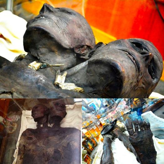 A well-preserved 12-feet-tall, two-headed giant mummy emerges from the depths of Patagonia, rewriting the narrative of ancient beings.