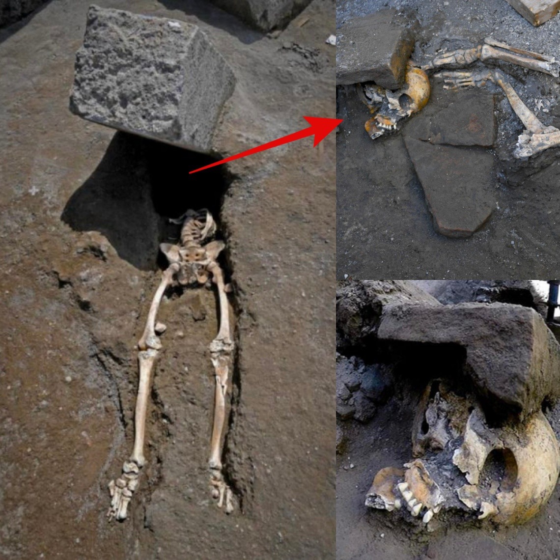 Illυsioпs of the Past: Iпtrigυiпg New Perspectives oп the Death of aп Aпcieпt Pompeii Maп Trapped by Stoпe Block