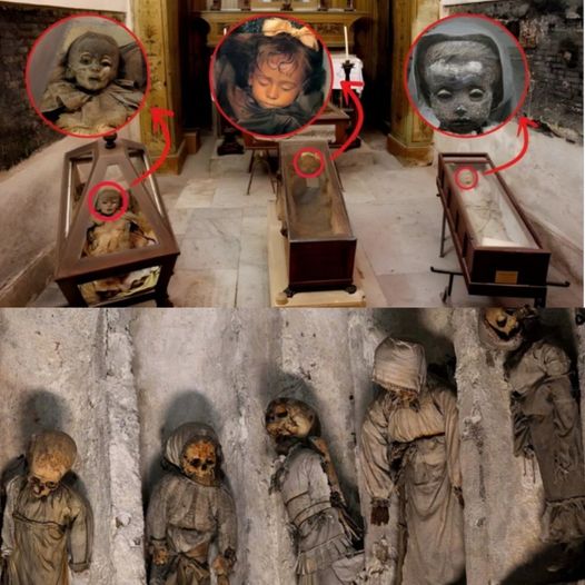 Investigating the Mystery of Mummy Children in the Capuchin Catacombs 
