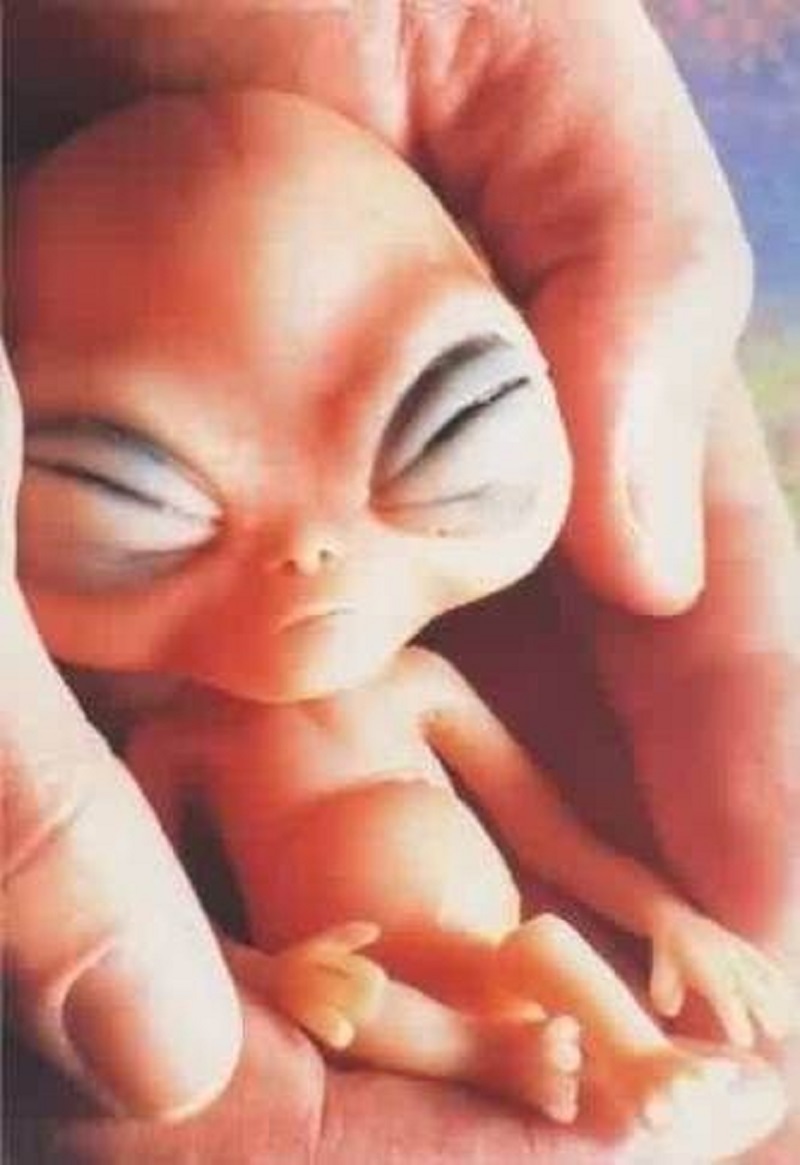  Aliens Can Get Pregnant and Give Birth Like Us? Separating Fact from Fiction